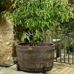 Jardinopia Plant Pot Feet Bronze Labrador - Set Of 3 5 Jardinopia Plant Pot Feet Bronze Labrador - Set Of 3 -Outdoor garden care 1177293 3