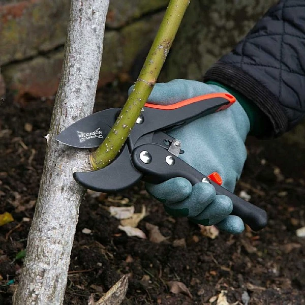 Wilkinson Sword Ratchet Anvil Pruner 2 Wilkinson Sword Ratchet Anvil Pruner - Image 2