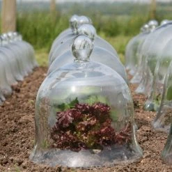 Access Glass Bells 19 Access Glass Bells -Outdoor garden care ACCBELL10