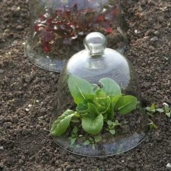 Access Glass Bells Set Of Three -Outdoor garden care ACCBELL5 dae45a9b e3e0 4831 945d eb595cc0f6a0