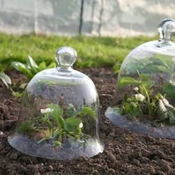 Access Glass Bells 15 Access Glass Bells -Outdoor garden care ACCBELL6