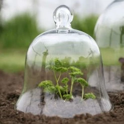 Access Glass Bells 16 Access Glass Bells -Outdoor garden care ACCBELL7