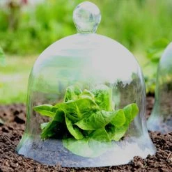 Access Glass Bells Set Of Three -Outdoor garden care ACCBELL8 698ebf31 f424 4094 bc12 8ee4f1ba50bf