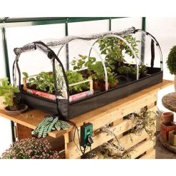 Bio Green Jumbo Propagator