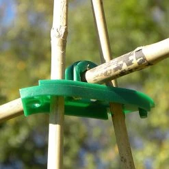 Cane Supports -Outdoor garden care BPCS3