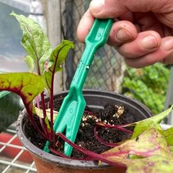 Dibber And Widger Planting Set -Outdoor garden care BPDWSET3