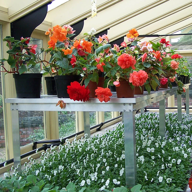 Commercial Bench Extra Tier 7 Commercial Bench Extra Tier - Image 7