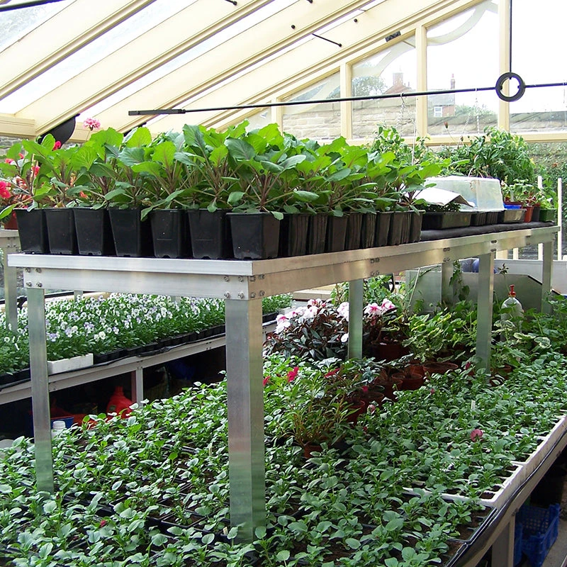 Commercial Bench Extra Tier 1 Commercial Bench Extra Tier