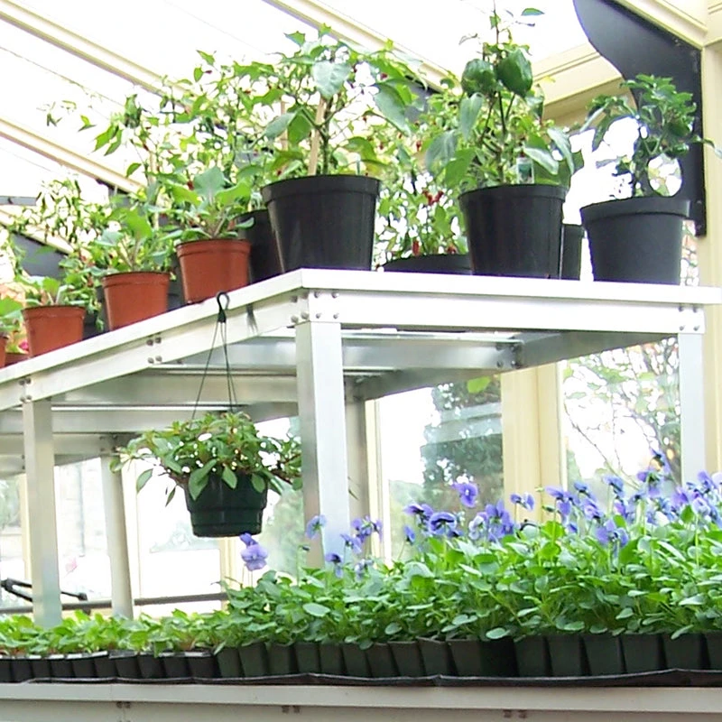 Commercial Bench Extra Tier 2 Commercial Bench Extra Tier - Image 2