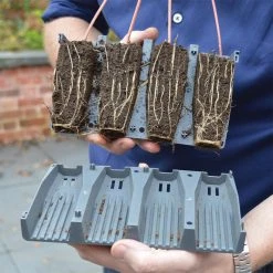 28 Cell Deep Root Plant Cells 15 28 Cell Deep Root Plant Cells -Outdoor garden care DRPC288