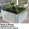 Elite Roots & Shoots Raised Beds
