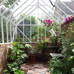 Elite Thyme 6'3" Wide Greenhouse For Dwarf Wall -Outdoor garden care ETM6DW3