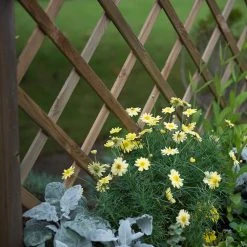 Venice Wooden Planter -Outdoor garden care FGFPV4