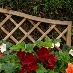 Venice Wooden Planter -Outdoor garden care FGFPV5