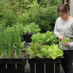 Ergrownomics - Four Square Planter Set 13 Ergrownomics - Four Square Planter Set -Outdoor garden care FSPM3