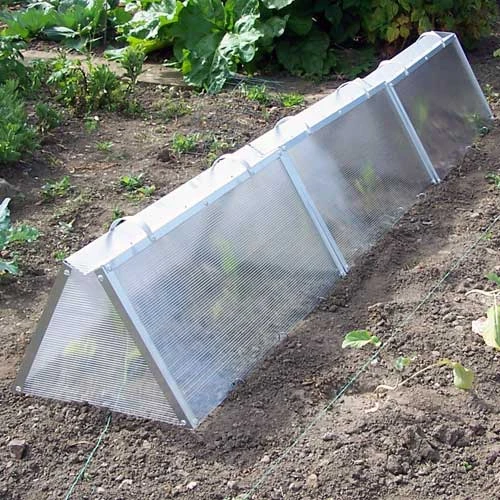 Gardeners Cloche 2 Gardeners Cloche - Image 2