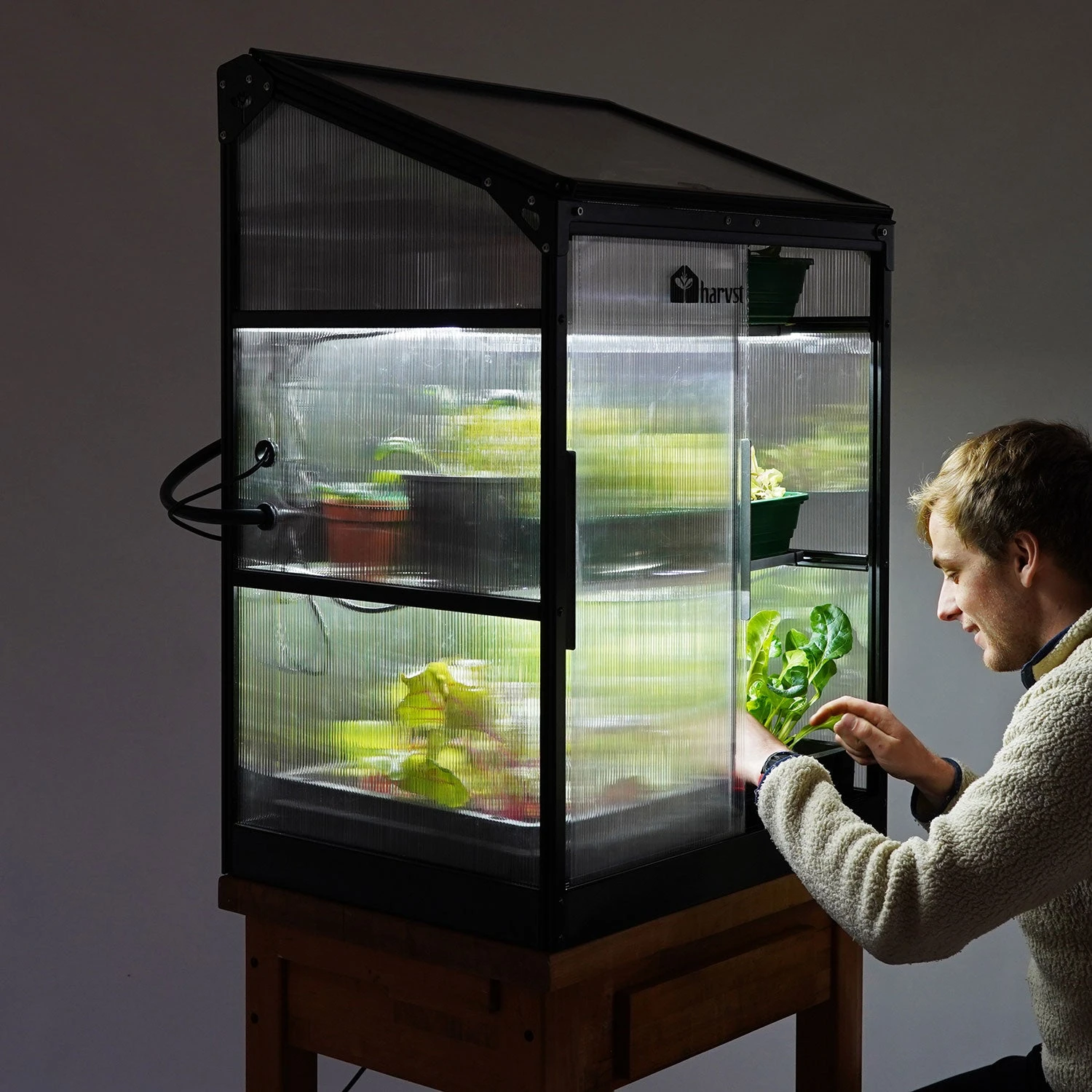 Sprout S6 Smart Mini Greenhouse 9 Sprout S6 Smart Mini Greenhouse - Image 9