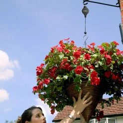 Hilo -Outdoor garden care HILO5