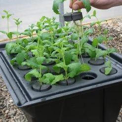 Hydropod Propagator -Outdoor garden care HYCP13