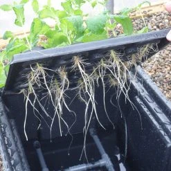 Hydropod Propagator -Outdoor garden care HYCP14