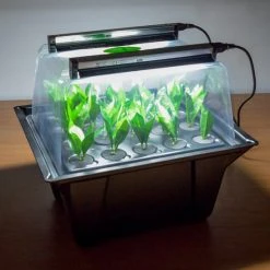 Hydropod Propagator -Outdoor garden care HYCP19