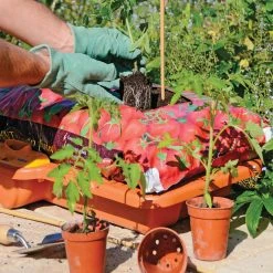 Hozelock Growbag Waterer -Outdoor garden care HZGBW7