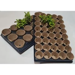 Shuttle Trays With Jiffy Pots -Outdoor garden care JPST5