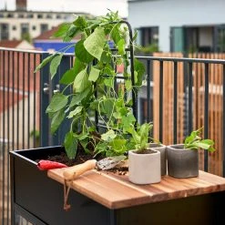 Juliana Vertical Greenhouse -Outdoor garden care JUVERTICAL3