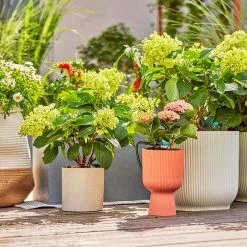 Gardena Micro Drip Irrigation Drip Starter Set 14 Gardena Micro Drip Irrigation Drip Starter Set -Outdoor garden care LDMDISK12