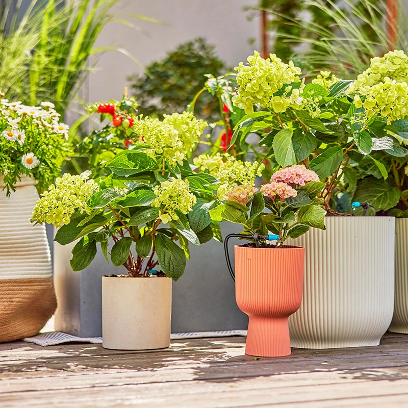 Gardena Micro Drip Irrigation Drip Starter Set 3 Gardena Micro Drip Irrigation Drip Starter Set - Image 3