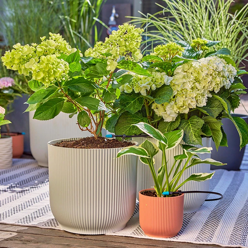 Gardena Micro Drip Irrigation Drip Starter Set 4 Gardena Micro Drip Irrigation Drip Starter Set - Image 4