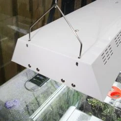 Maxibright Propagation Lights -Outdoor garden care MPL8