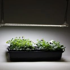 Cosmorrow LED Grow Lights -Outdoor garden care MXCGLLB4711