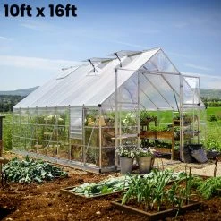 Palram Canopia Balance 10ft Wide Greenhouse -Outdoor garden care PRBA1026