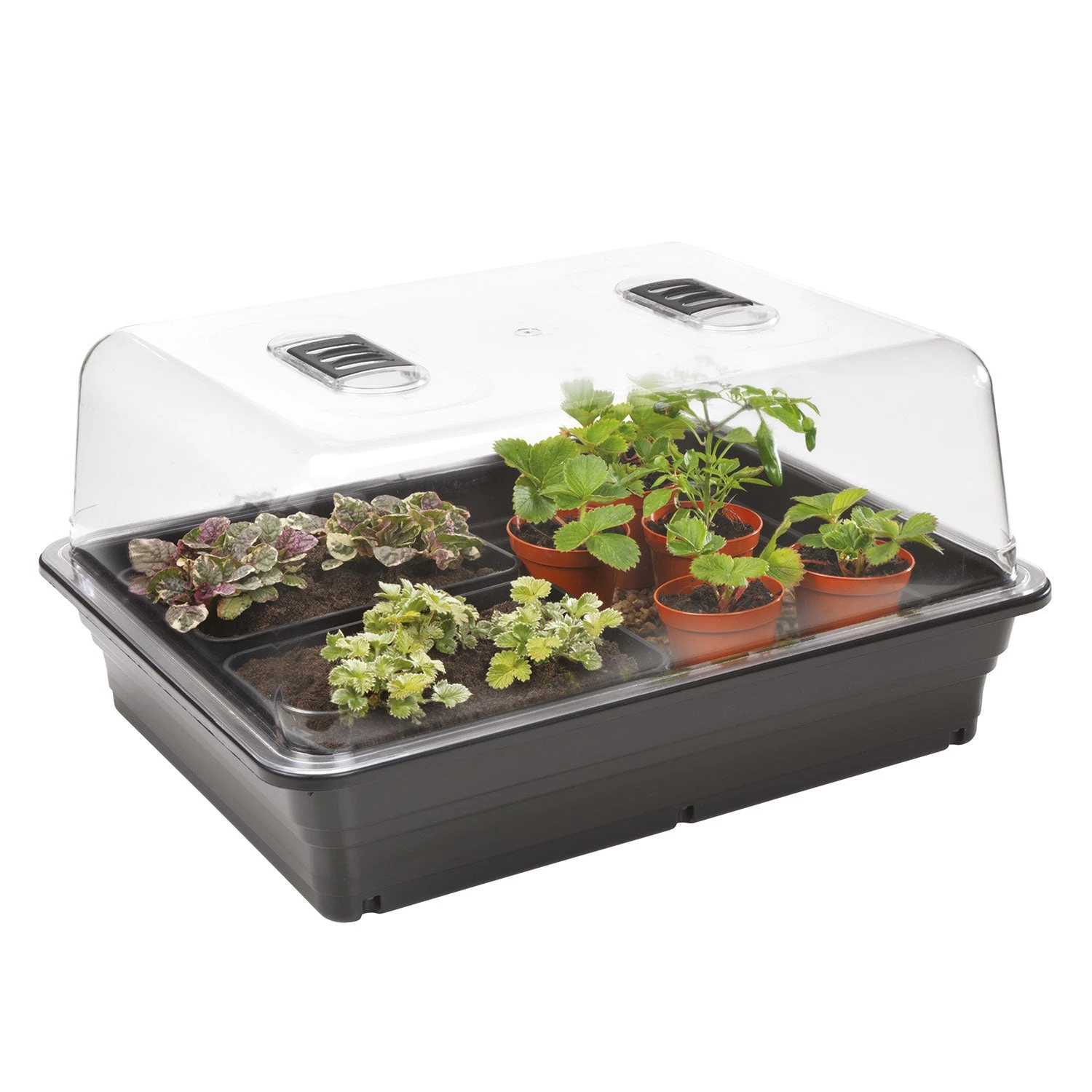 Heat And Grow Variable Temperature Propagator 2 Heat And Grow Variable Temperature Propagator - Image 2