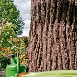 Evergreen 475 Litre Tree Stump Water Butt -Outdoor garden care PTEVE7