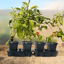 Quadgrow Planter -Outdoor garden care QGP12