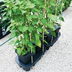 Quadgrow Planter -Outdoor garden care QGP13