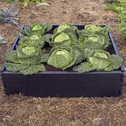 Raised Bed Border -Outdoor garden care RBB3