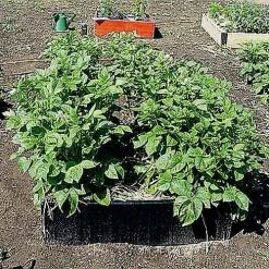 Raised Bed Border -Outdoor garden care RBB6