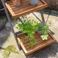 Alderley Hardwood Plant Ladder -Outdoor garden care ROALDPLANT8