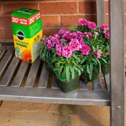 Rowlinson Alderley Raised Planter 11 Rowlinson Alderley Raised Planter -Outdoor garden care ROALDRAPL7