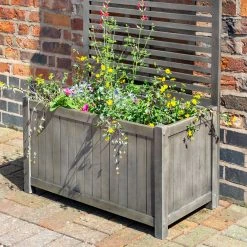 Rowlinson Alderley Rectangular Planter And Trellis -Outdoor garden care ROALDRPLTR3