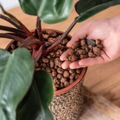 Gro-Sure Hydroleca 10 Litre Bag -Outdoor garden care WLGSH102