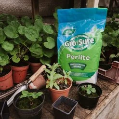 Gro-Sure Perlite 10 Litre Bag -Outdoor garden care WLGSP102