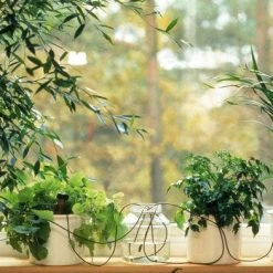 Blumat Automatic Pot Plant Waterers -Outdoor garden care bappw3 1