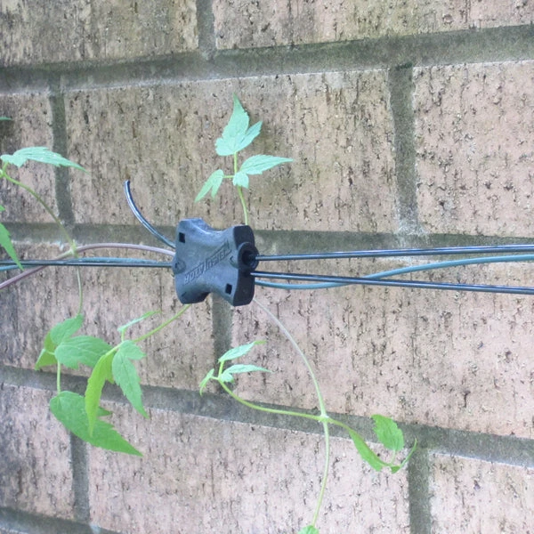 Gripple Plant Support System Starter Pack 14 Gripple Plant Support System Starter Pack - Image 14