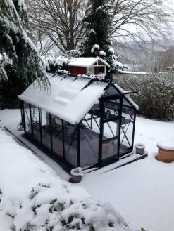 Elite Craftsman 6'3" Wide Greenhouse 21 Elite Craftsman 6'3" Wide Greenhouse -Outdoor garden care ecmgh10 1