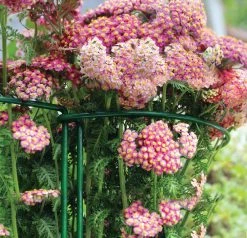 Gard N Hoop -Outdoor garden care gnh3 1