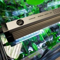 GS LED Grow Light -Outdoor garden care gsled2 3